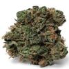 Hvor kan jeg købe Blue Dream i Danmark